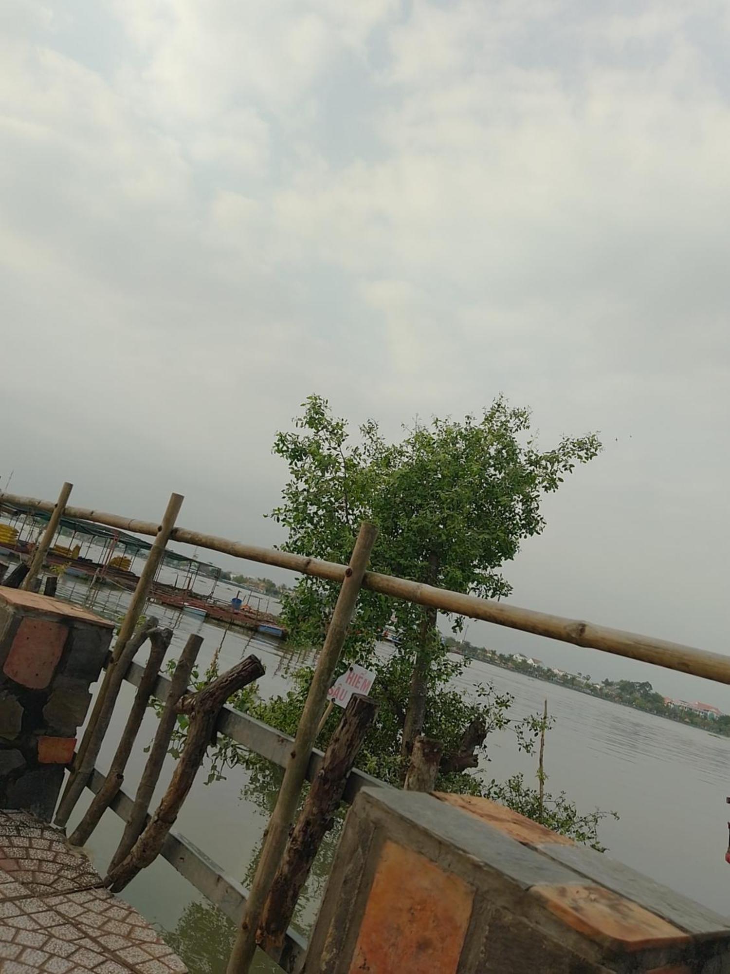 Mekong Riverside Homestay หวินห์ลอง ภายนอก รูปภาพ