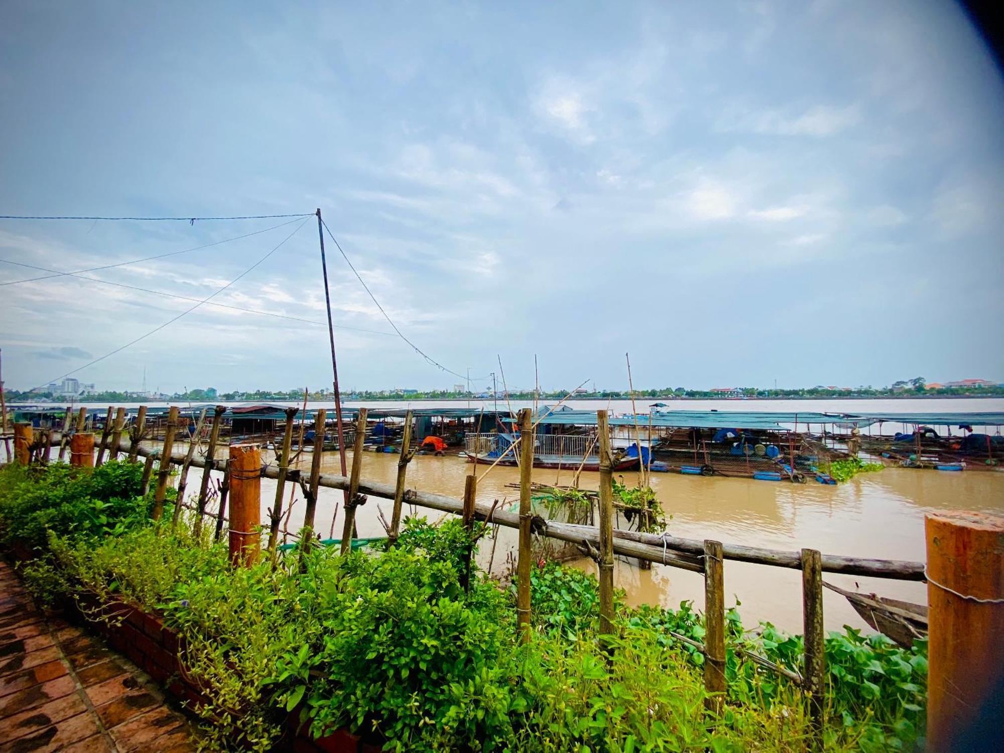 Mekong Riverside Homestay หวินห์ลอง ภายนอก รูปภาพ